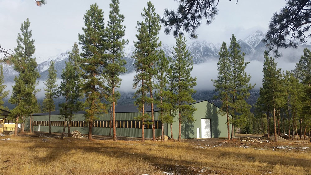 Riding Arena with FC-36 Panel Siding in Dark Sage and FC-36 Black Roof
