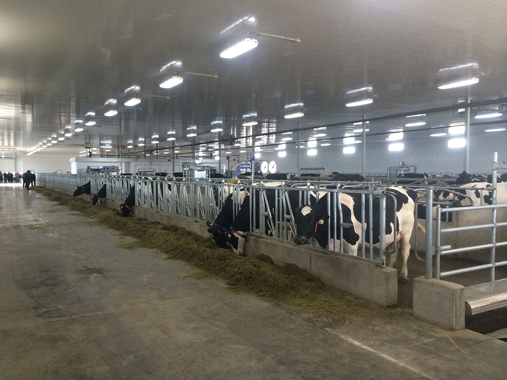 Agricultural Interior at Dairy Farm featuring Bright White II/6 Interior Liner