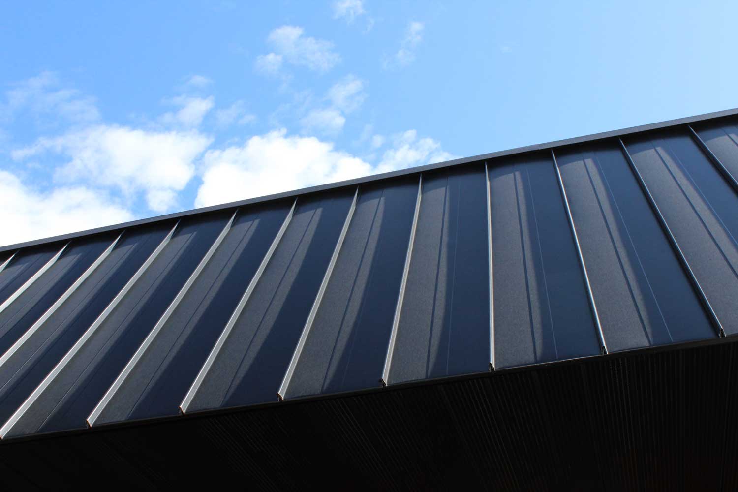 Black Nailstrip Commercial Roof