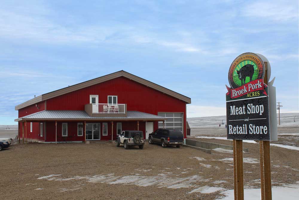 Commercial Store with Bright Red and Seawolf in FC-36