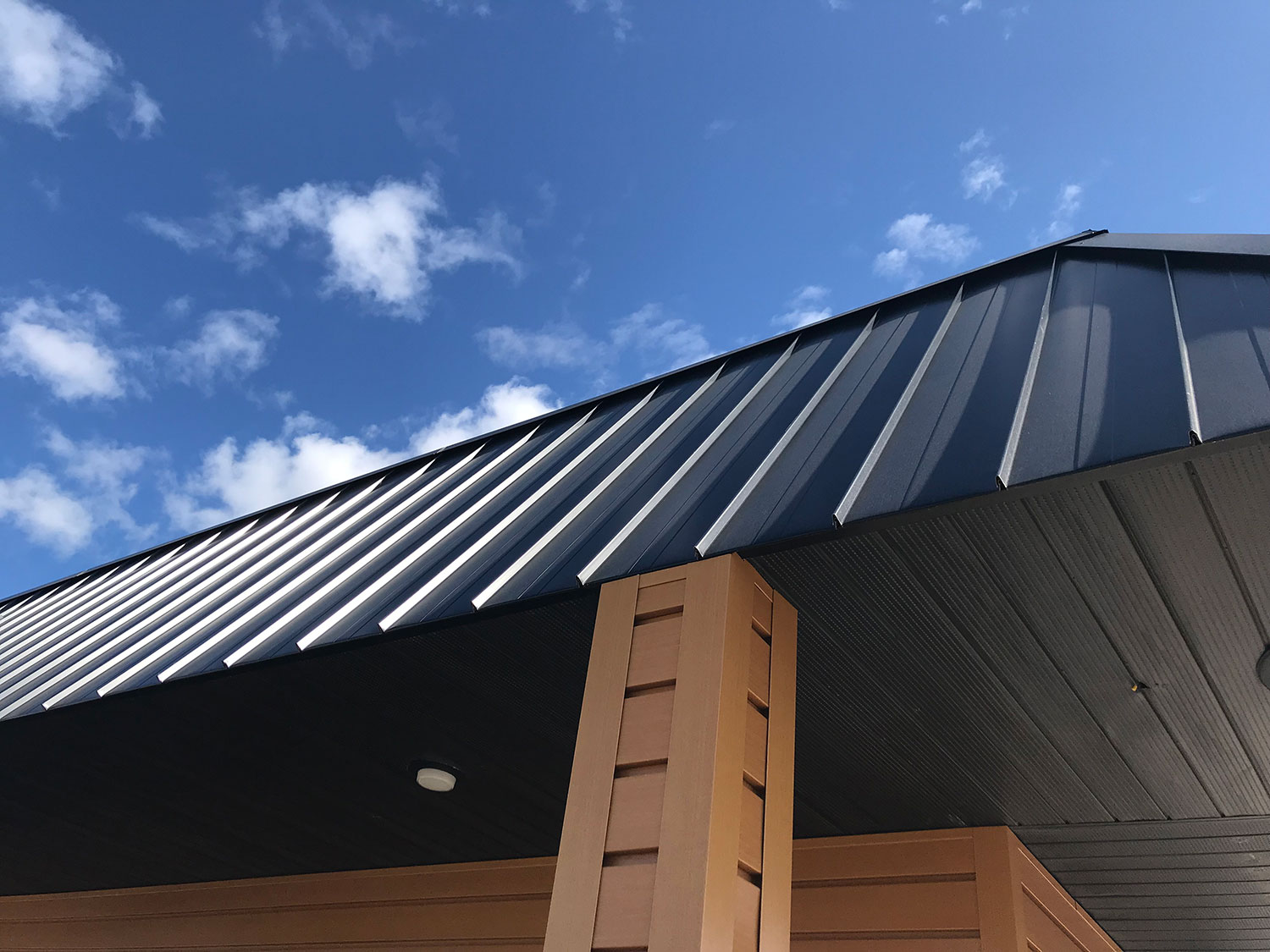Commercial Roof in Black Nailstrip Panel