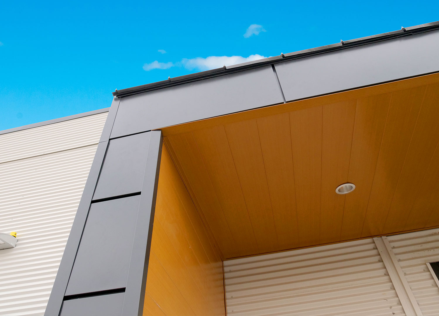 Commercial Building with Expand Modular Panels in Carbon and Interloc 8" in Autumn.