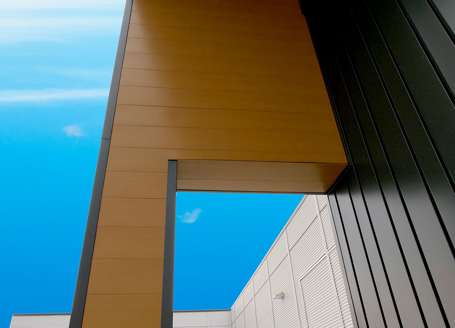Commercial Building with Expand Modular Panels in Carbon and Interloc 8" in Autumn.