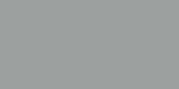 Regent Grey