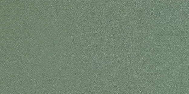 Silver Sage Texture