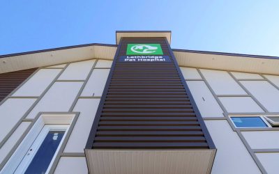 Strong Foundations for Animal Care: Forma Steel in Veterinary Facilities