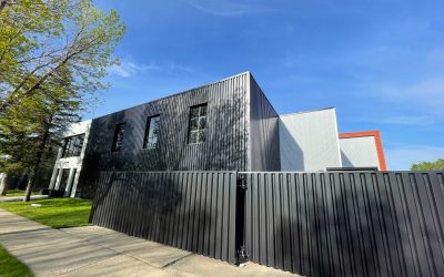 Metal Fencing: Introducing Double Sided Black on Black