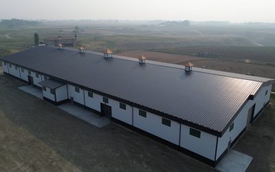 Metal Roofing: Protection From the Elements