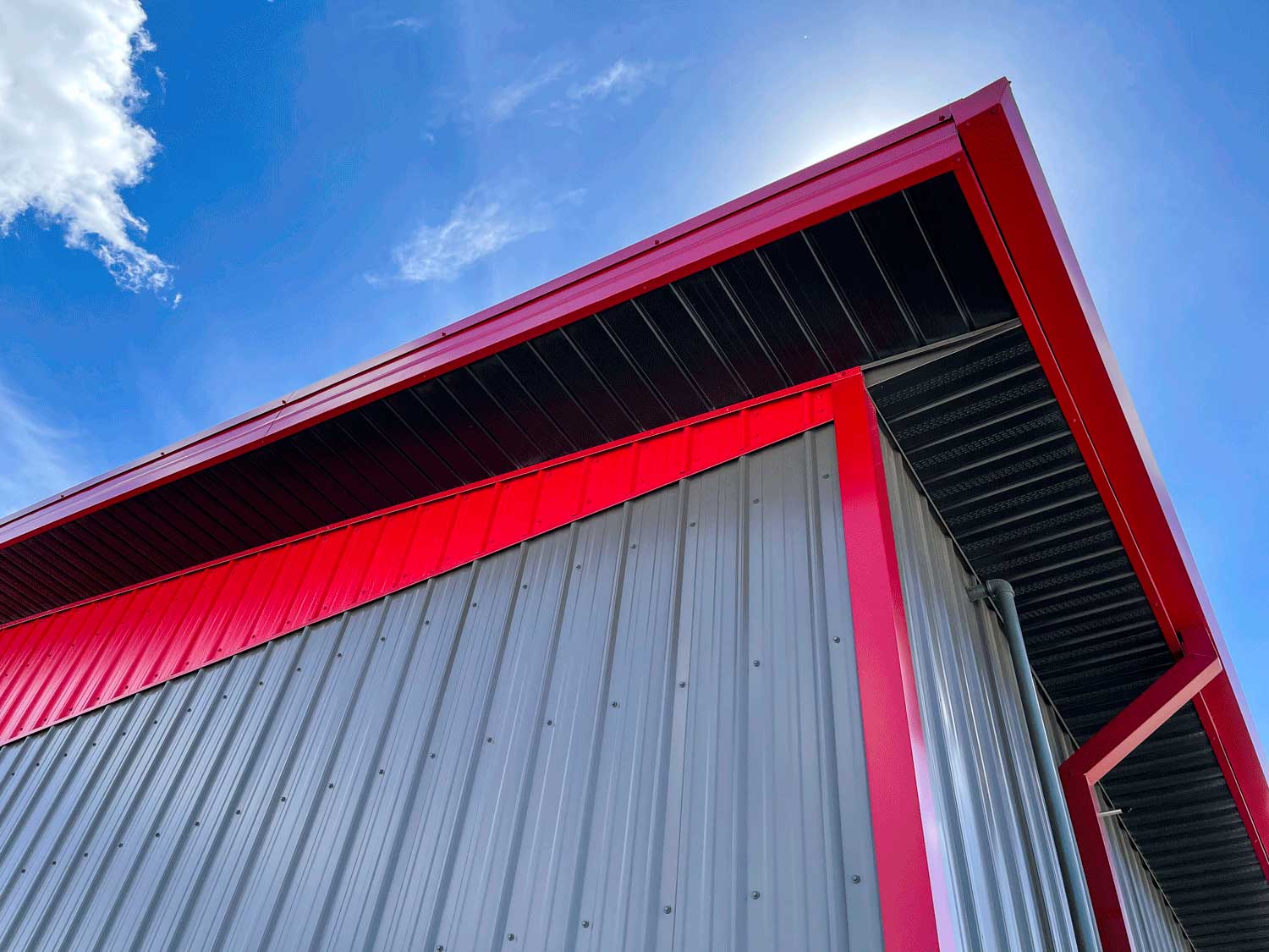 FC-36 in Charcoal and Bright Red